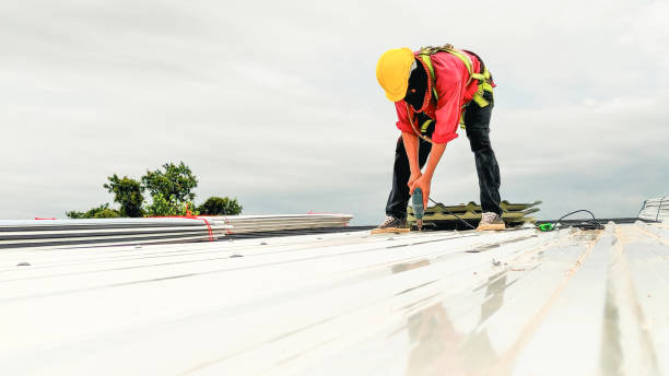 Best Solar Panel Roofing Installation  in Union Springs, AL