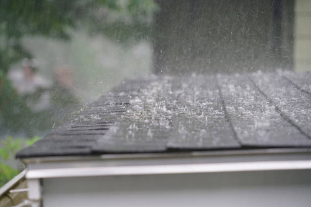 Best Cold Roofs  in Union Springs, AL