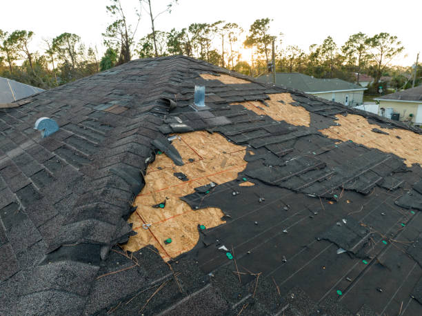 Best Tile Roofing Installation  in Union Springs, AL