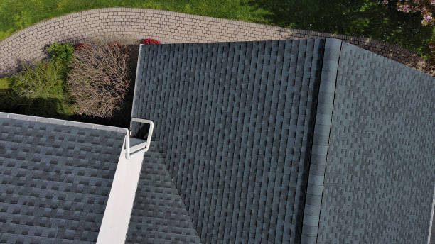Best Roof Maintenance and Cleaning  in Union Springs, AL